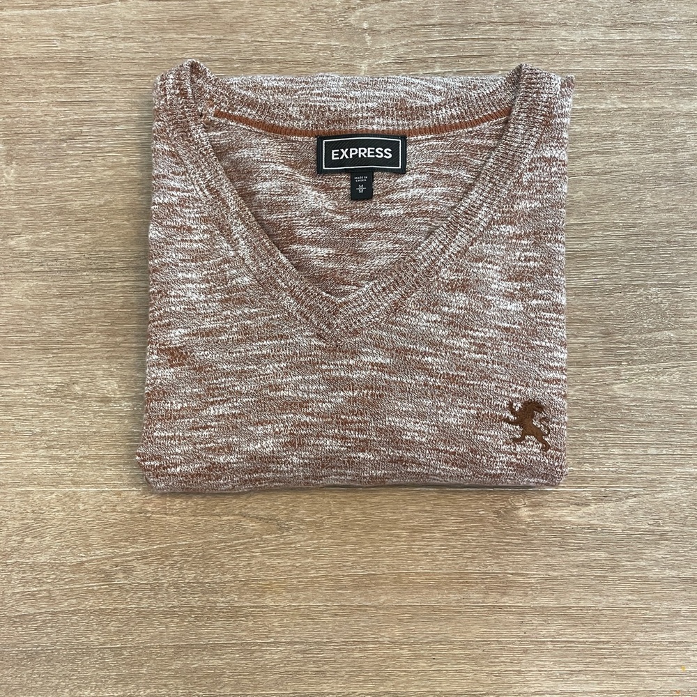 Express v-neck sweater medium